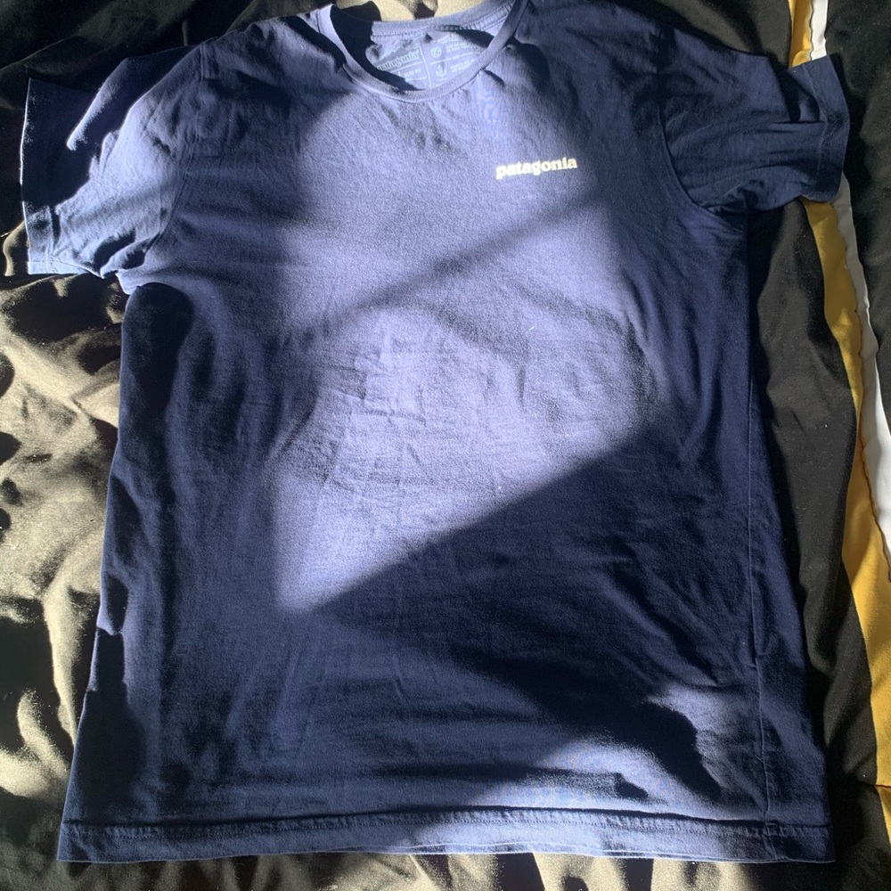 Patagonia organic t shirt